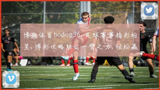 博狗体育bodog36,足球赛事精彩纷呈,博彩攻略助你一臂之力,轻松赢钱