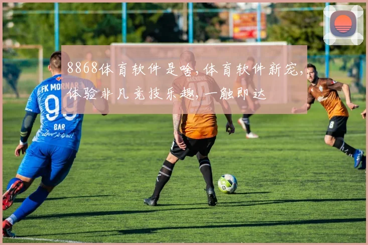8868体育软件是啥,体育软件新宠,体验非凡竞技乐趣,一触即达