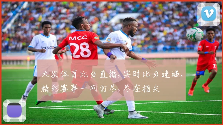大发体育比分直播,实时比分速递,精彩赛事一网打尽,尽在指尖